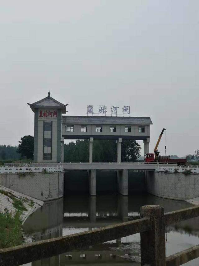 “中国桔梗之乡”太和县李兴镇,有李兴的朋友吗?为家乡点赞啦